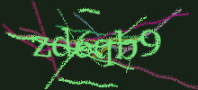 Проверочный код